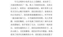 乡村的滋味作文