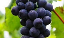 我家的智慧生活