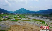 有一种美丽叫迂回