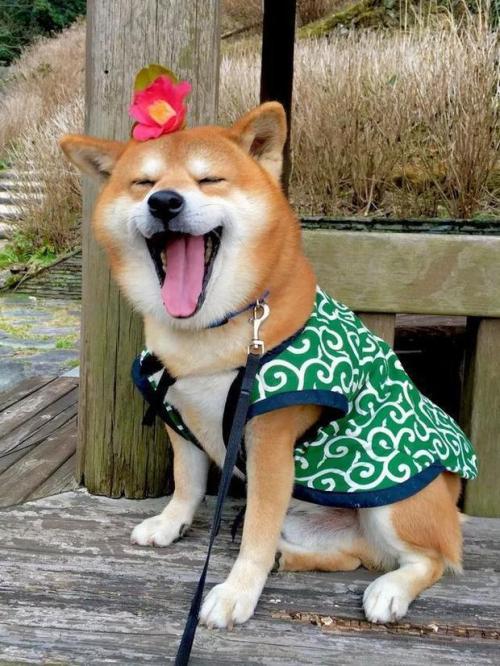 自己微笑