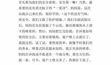 捉蚊趣事作文400左右