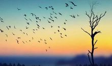 时间是一笔财富