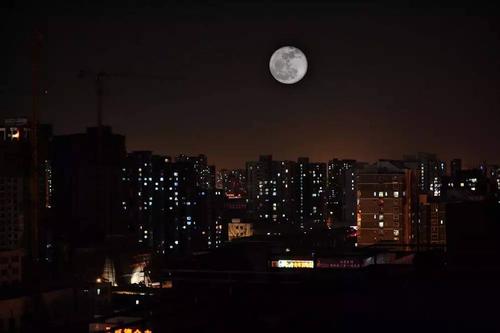 谁偷了你的月光