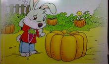 小兔近视了看图写话二年级