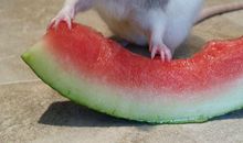 令我感动的一瞬间