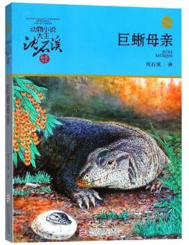 看完监控蜥蜴妈妈