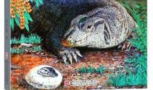 巨蜥母亲读后感