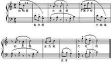 我们班的小小动物园