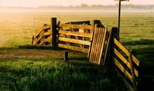 舍弃是为了成功