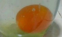 醋泡鸡蛋的小实验