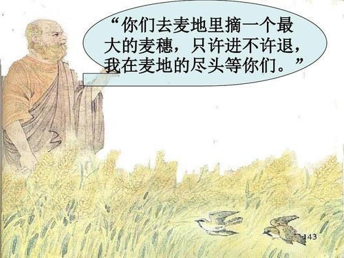 我喜欢读《小麦的最大耳朵》