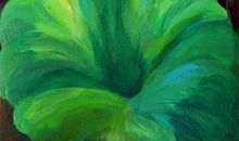 生命拨动了我的心弦