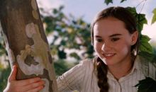 记忆中最美好的片段