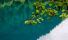 永不褪色的风景