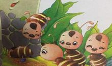 蚂蚁也是我的老师