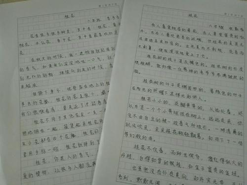 关于人物的构图