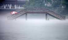 在静默中捡拾纯真