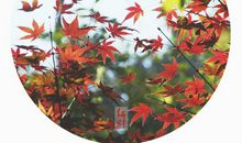 梦里寻您千百度