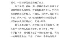 我眼中的缤纷世界作文三年级300字