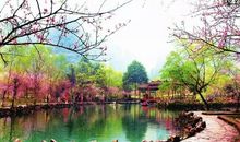 那里是真正的桃花源