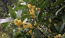 这个假期有点长