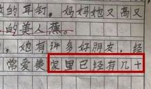 那一家小店作文