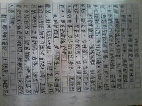家庭娱乐随笔400字