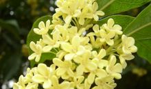 心灵深处的遗憾