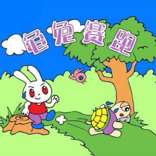 乌龟和野兔再次比赛