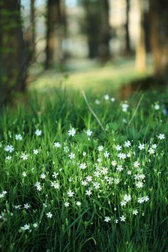 四个季节