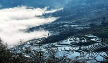 尝试，需要咬咬牙