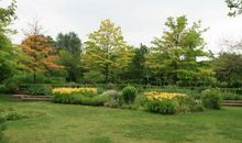 我家周围的景色