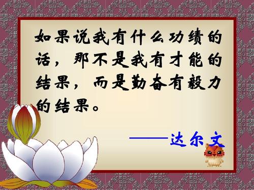 坚持不懈