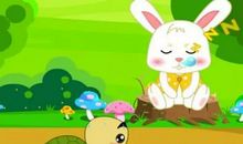 龟兔赛跑之后的故事