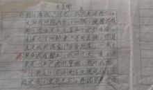 想起那件事我就寝食难安作文