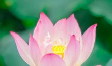 牵动心灵的妙音