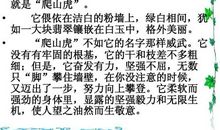 托物言志写植物作文600字