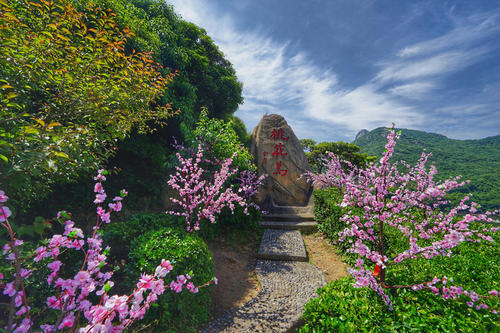 桃花岛