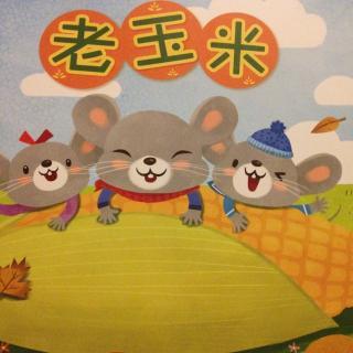 我的天气预报员