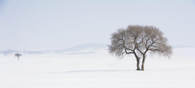 冬季场景
