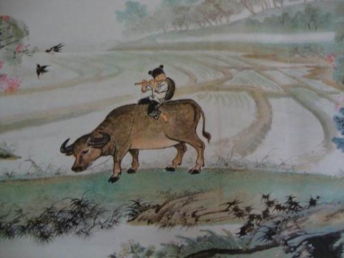 牧羊人改写成短文