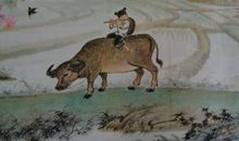 牧童改写为一篇短文