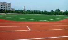 未来的学校操场