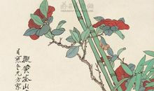 《黄荃画雀》改写