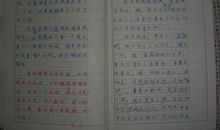 关于外公的作文