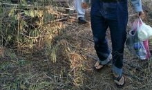 寻找故乡的温情