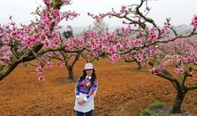 微风吹拂的声音