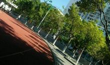 在离别中慢慢成长