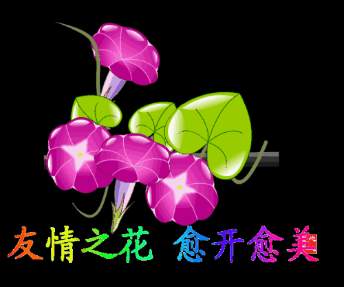 友谊带给我幸福
