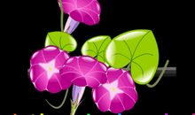 友情给我带来快乐